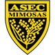 ASEC米莫薩女足logo