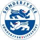 桑德捷斯基后備隊 logo