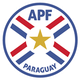 巴拉圭室內足球隊 logo