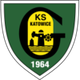 GKS卡托威斯U19logo